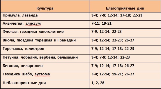 Благоприятные посадочные дни на рассаду декоративных растений в феврале 2022 года